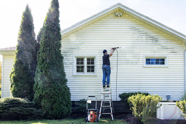 Best Parking Lot Cleaning in Capac, MI